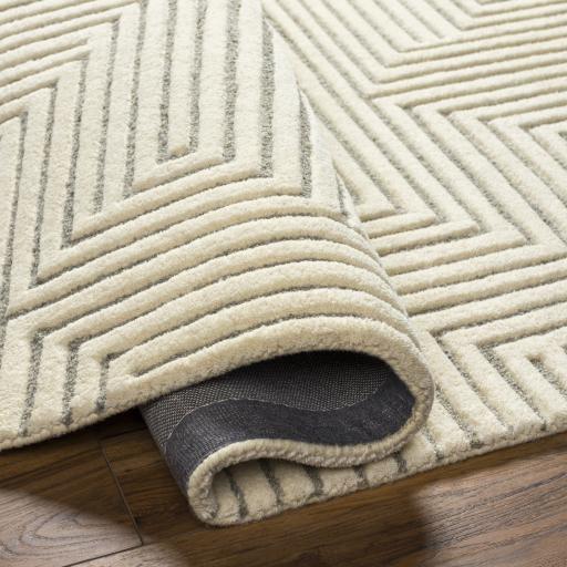 Surya Brook BKO-2313 2' x 3' Rug