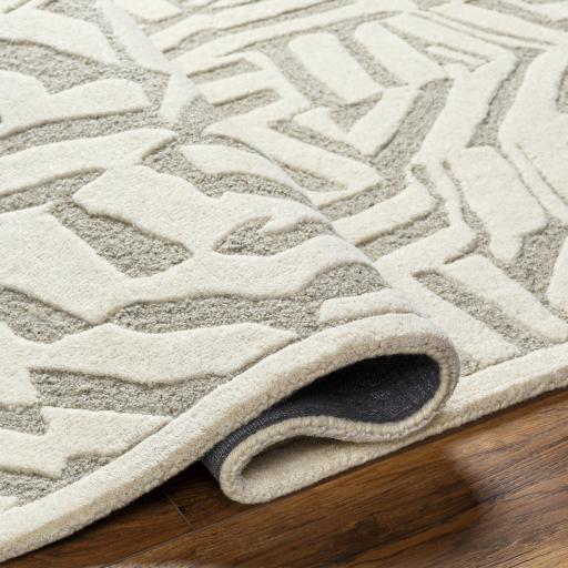 Surya Brook BKO-2314 Beige Light Brown 2' x 3' Rug