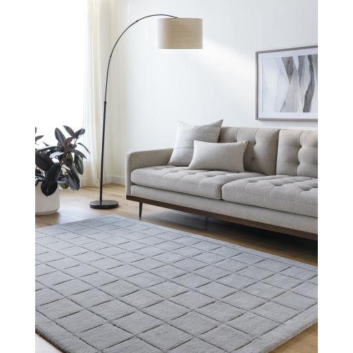 Surya Brook BKO-2331 2' x 3' Rug