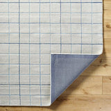 Surya Brook BKO-2341 2' x 3' Rug