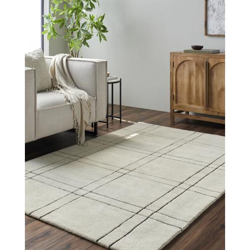 Surya Brook BKO-2356 2' x 3' Rug