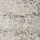 Surya Brunswick BWK-2305 7'10" x 10'2" Rug
