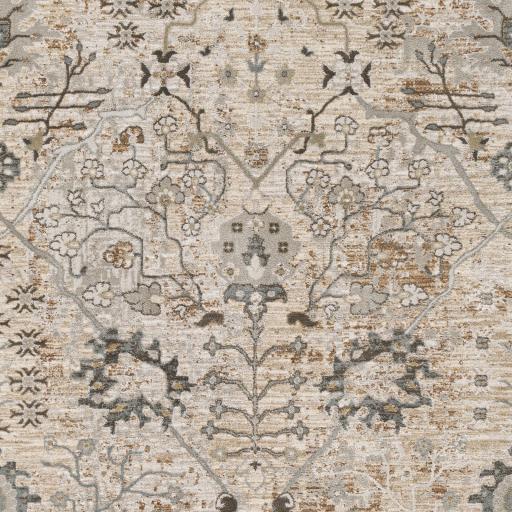 Surya Brunswick BWK-2311 2' x 2'11" Rug