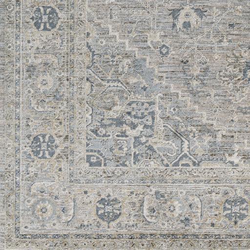 Surya Brunswick BWK-2319 10' x 13'11" Rug