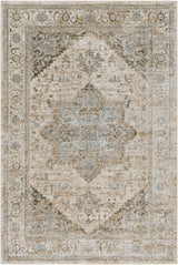Surya Brunswick BWK-2320 9' x 12'2" Rug