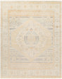 Surya Bunyan BYN-2303 2'6" x 8' Rug