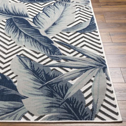 Surya Cabo CBO-2305 2'2" x 3'9" Rug