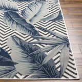 Surya Cabo CBO-2305 2'2" x 3'9" Rug