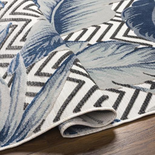 Surya Cabo CBO-2305 2'2" x 3'9" Rug