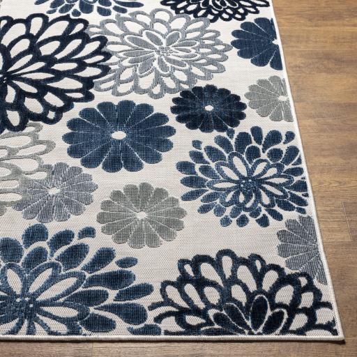 Surya Cabo CBO-2309 2'7" x 7'3" Rug
