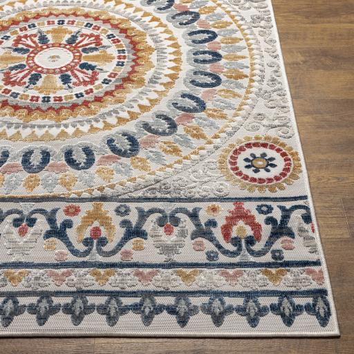 Surya Cabo CBO-2310 2'2" x 3'9" Rug