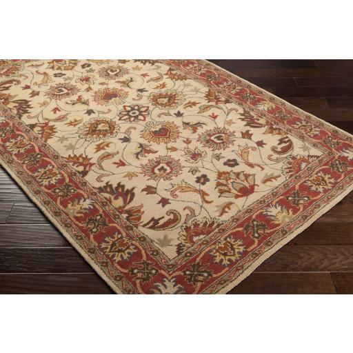 Surya Caesar CAE-1001 Brick Red Brown 6' x 9' Oval Rug