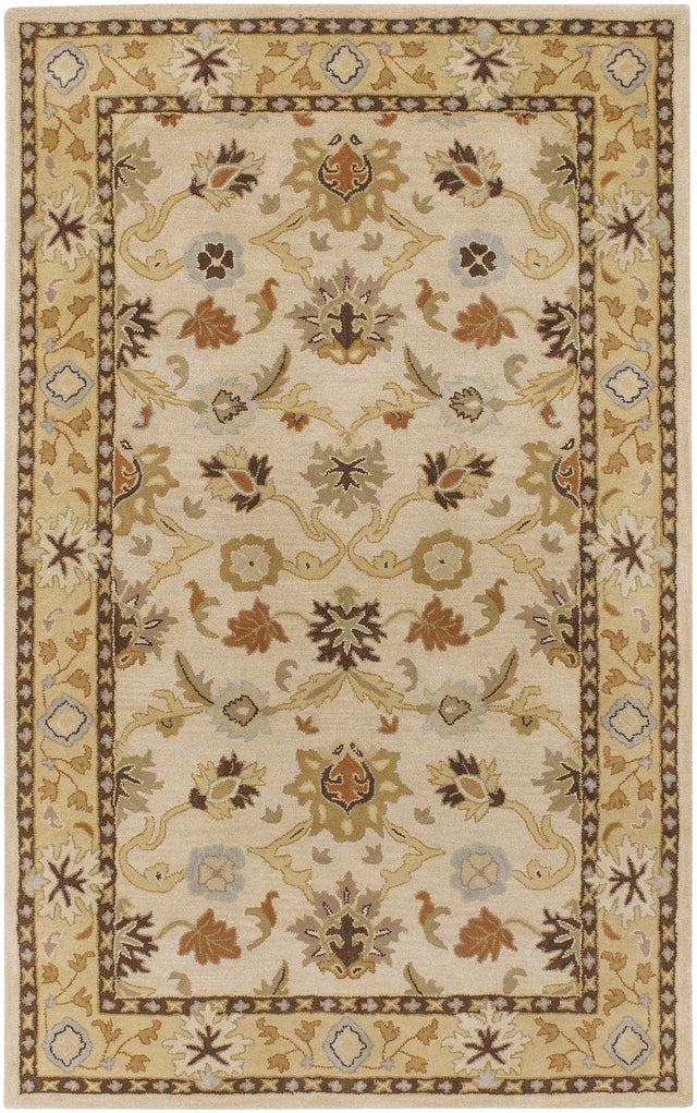Surya Caesar CAE-1010 Brown Burnt Orange 6' x 9' Oval Rug