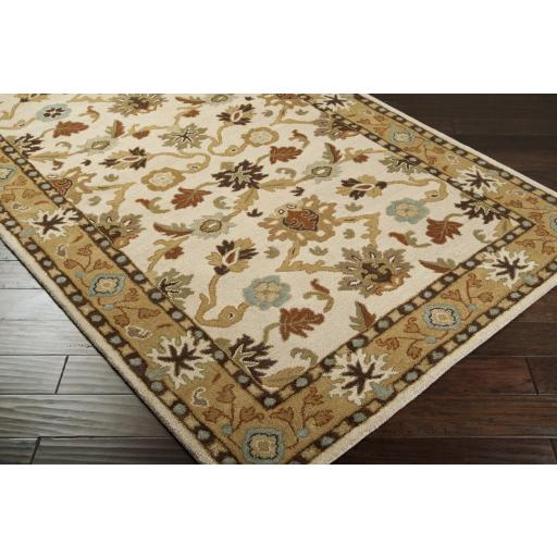 Surya Caesar CAE-1010 Brown Burnt Orange 6' Round Rug