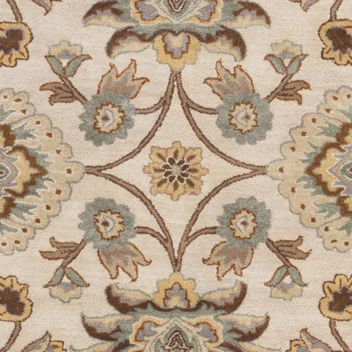 Surya Caesar CAE-1012 Brown Burnt Orange 8' x 10' Oval Rug