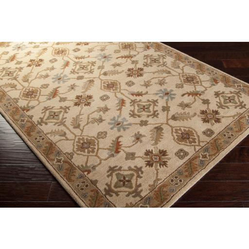 Surya Caesar CAE-1084 Brown Dark Brown 6' x 9' Oval Rug