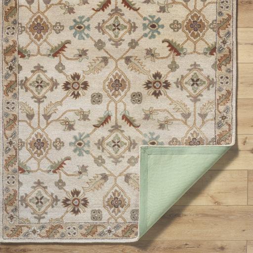 Surya Caesar CAE-1084 8' x 10' Oval Rug