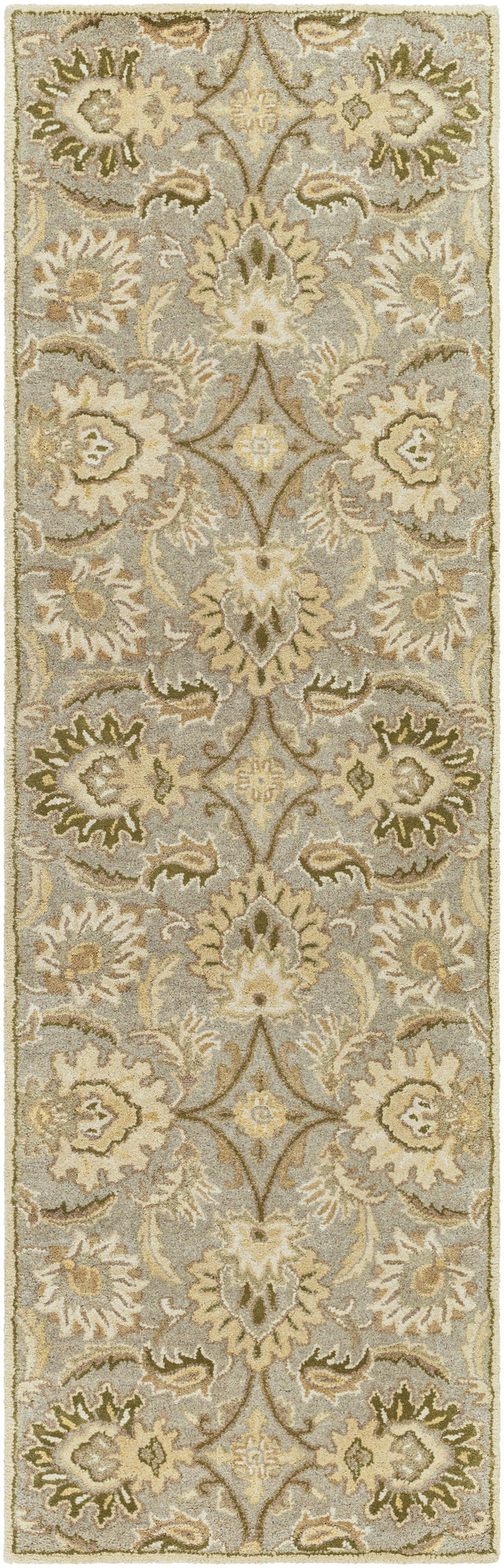Surya Caesar CAE-1111 2' x 3' Rug