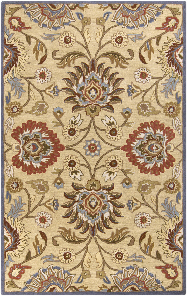 Surya Caesar CAE-1116 2' x 3' Rug