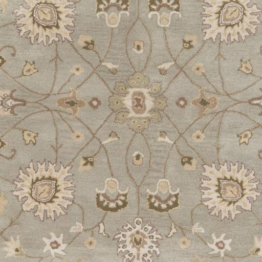 Surya Caesar CAE-1121 Gray Ivory 6' x 9' Oval Rug