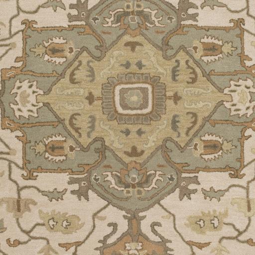 Surya Caesar CAE-1143 Beige Dark Brown 6' x 9' Oval Rug