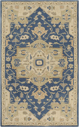 Surya Caesar CAE-1145 2' x 4' Hearth Rug