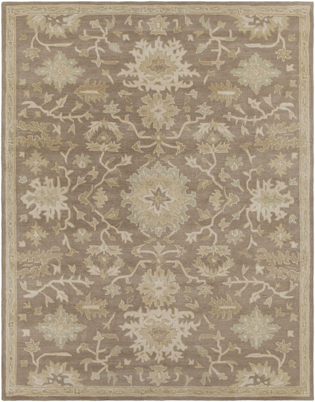 Surya Caesar CAE-1149 Beige Dark Brown 6' x 9' Oval Rug