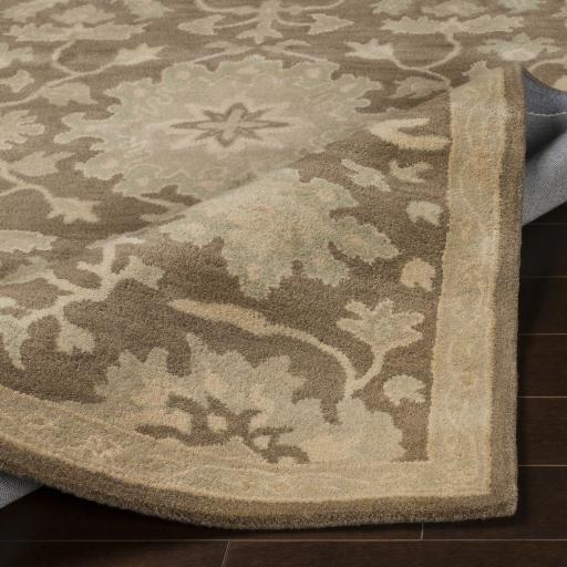 Surya Caesar CAE-1149 Beige Dark Brown 9' x 12' Rug