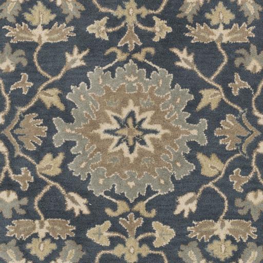 Surya Caesar CAE-1154 5' x 8' Shaped Rug