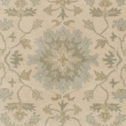 Surya Caesar CAE-1161 8' x 11' Rug