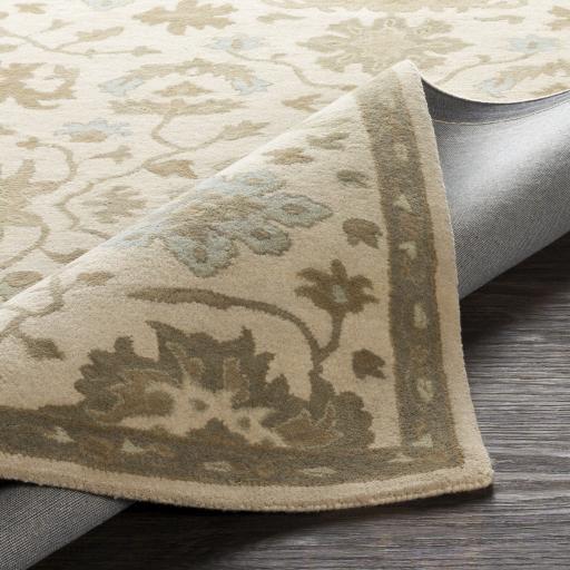 Surya Caesar CAE-1161 9' x 12' Rug