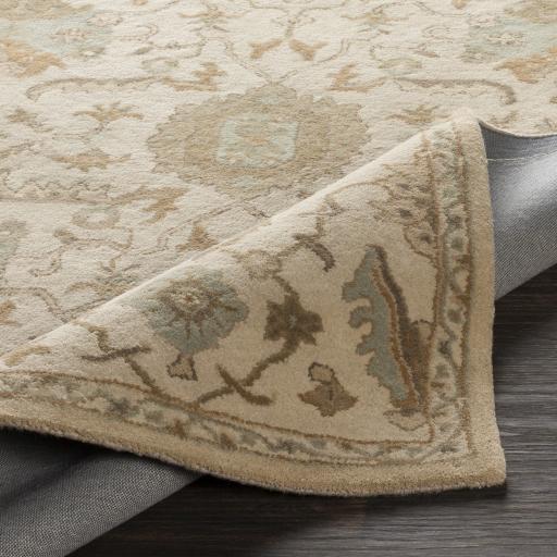 Surya Caesar CAE-1166 2' x 3' Rug