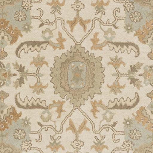 Surya Caesar CAE-1166 2' x 3' Rug