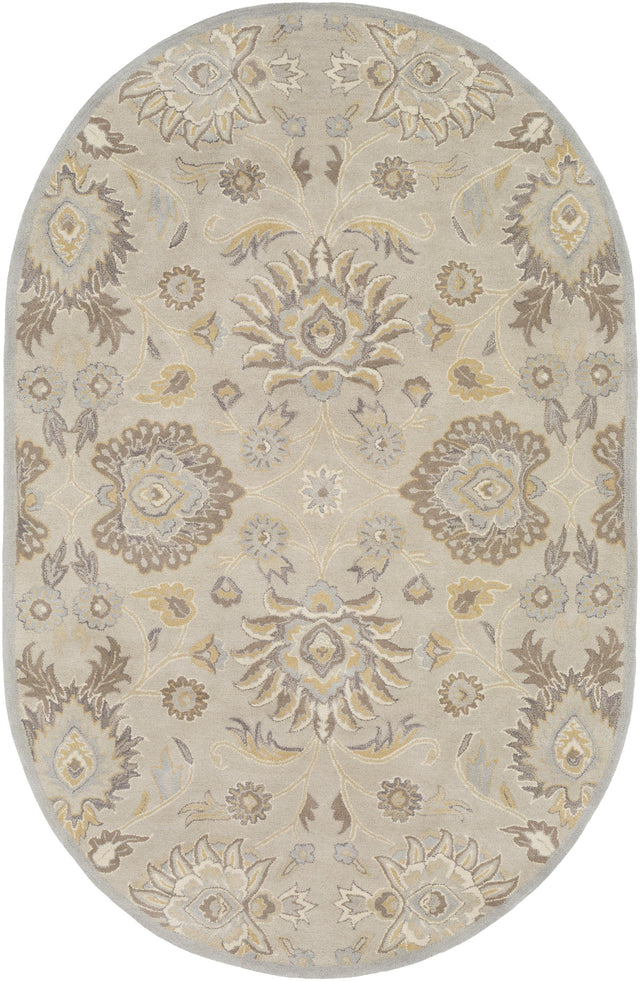 Surya Caesar CAE-1192 Ivory Light Brown 6' x 9' Oval Rug