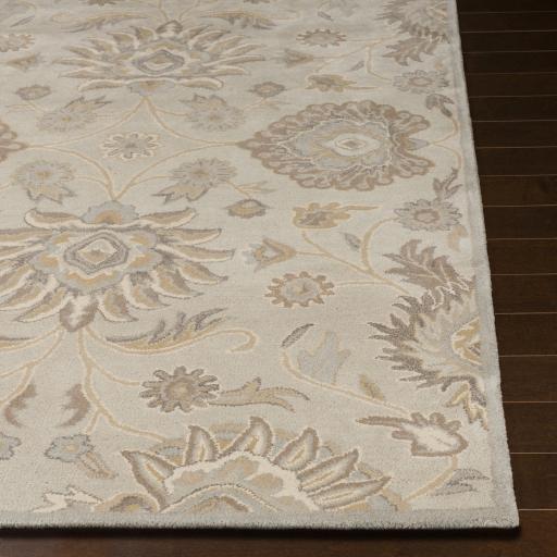 Surya Caesar CAE-1192 Ivory Light Brown 6' x 9' Oval Rug
