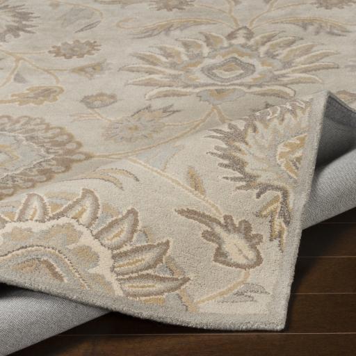 Surya Caesar CAE-1192 Ivory Light Brown 6' x 9' Oval Rug