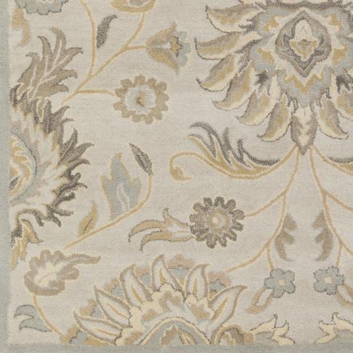 Surya Caesar CAE-1192 Ivory Light Brown 6' x 9' Oval Rug