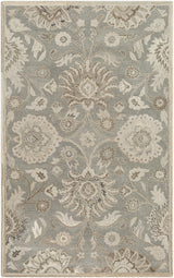 Surya Caesar CAE-1195 2' x 4' Hearth Rug