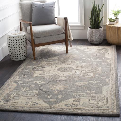 Surya Caesar CAE-1196 2' x 4' Hearth Rug