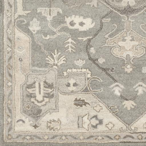 Surya Caesar CAE-1196 Black Brown 6' x 9' Oval Rug