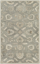 Surya Caesar CAE-1199 2' x 3' Rug