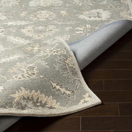 Surya Caesar CAE-1199 2' x 3' Rug