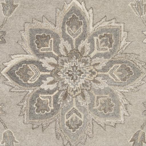Surya Caesar CAE-1201 Black Brown 6' x 9' Oval Rug