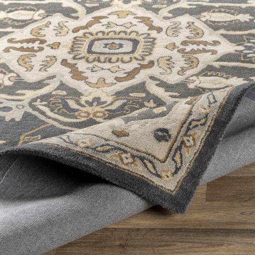 Surya Caesar CAE-1216 2' x 3' Rug
