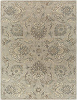 Surya Caesar CAE-1224 2' x 3' Rug