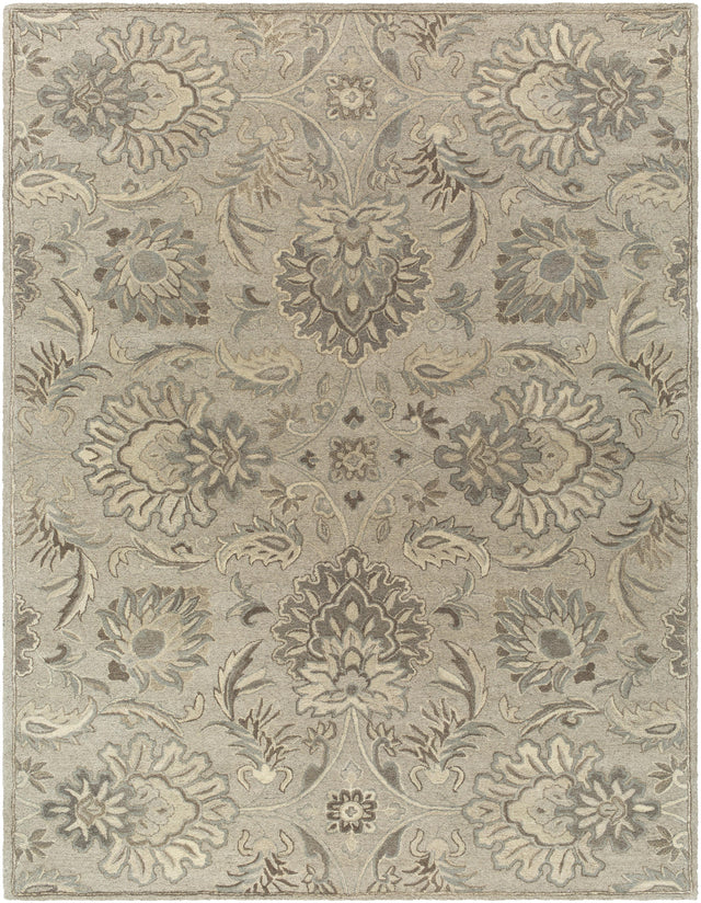 Surya Caesar CAE-1224 2' x 3' Rug