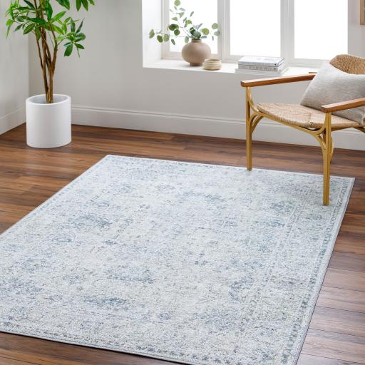 Surya Calhoun CAH-2301 2'8" x 4' Rug