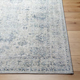 Surya Calhoun CAH-2301 2'8" x 4' Rug