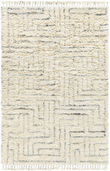 Surya Camille CME-2302 2' x 3' Rug