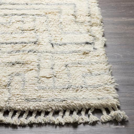 Surya Camille CME-2302 2' x 3' Rug